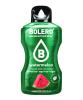 bolero sticks watermelon - 12 x 3g